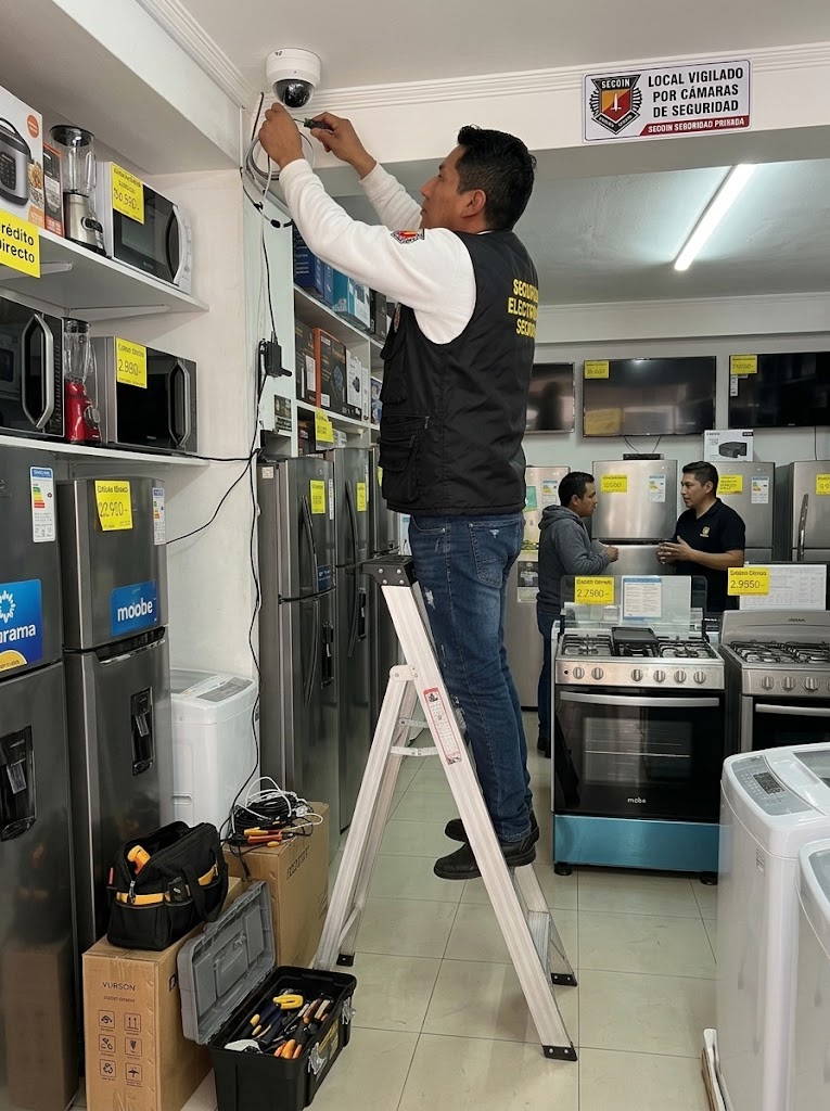 Seguridad electrónica